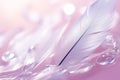 Whimsical Wonder: A Soft Feather on a Teasing Pink Background