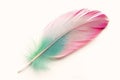 Whimsical Wonders: A Dreamy Palette of Feather Pink and Green, P