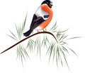 Bright winter bird bullfinch vector illustration