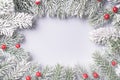 Whinter frame with snow branches and red ball background