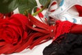 Whip and a rose Royalty Free Stock Photo