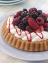 Whipped Cream and Berry Sponge Flan Royalty Free Stock Photo