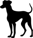 whippet Black Silhouette Generative Ai Royalty Free Stock Photo