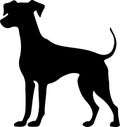 Whippet Black Silhouette Generative Ai Royalty Free Stock Photo