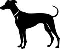Whippet Black Silhouette Generative Ai Royalty Free Stock Photo