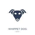 Whippet dog icon. Trendy flat vector Whippet dog icon on white b