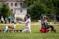 Whippet dogs outdoor on dog show at summer Royalty Free Stock Photo