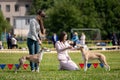 Whippet dogs outdoor on dog show at summer