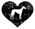 Whippet in heart black and white Royalty Free Stock Photo