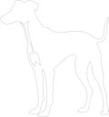Whippet outline Outline Silhouette Generative Ai Royalty Free Stock Photo