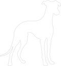 Whippet outline Outline Silhouette Generative Ai Royalty Free Stock Photo