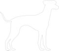 Whippet outline Outline Silhouette Generative Ai Royalty Free Stock Photo