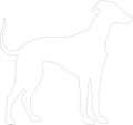 Whippet outline Outline Silhouette Generative Ai Royalty Free Stock Photo