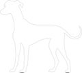 Whippet outline Outline Silhouette Generative Ai Royalty Free Stock Photo