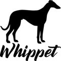 Whippet silhouette real word