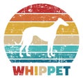 Whippet vintage color Royalty Free Stock Photo