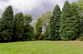 Whipsnade Tree Cathedral - Chilterns - United Kingdom