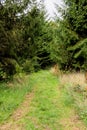 Whipsnade Tree Cathedral - Chilterns - United Kingdom