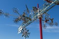 Whirligig Closeup