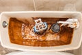 Whirlpool in the toilet storage tank. Actuation of the float valve. Scale on the walls of hard water Royalty Free Stock Photo