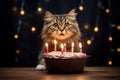 Whisker Wonderland: In the glow of candlelight, a cat contemplates a cake, marking a feline's special day. The