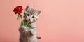 Whiskers and Roses Cute Kitten\'s Love-filled Pose