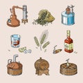 Whiskey alcohol beverage brandy in glass and drink scotch or bourbon in bottle illustration set of distillation isolated