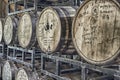 Whiskey barrels in warehouse of Leipers Fotk