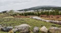 Whiskey Basin Wildlife Habitat Management Area