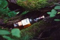 Whiskey bottle in nature