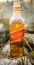 Whiskey bottle in nature