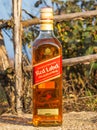 Whiskey bottle in nature.Johnnie Walker