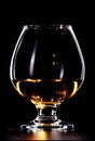 Whiskey Glass Royalty Free Stock Photo