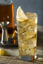 Whiskey Highball with Ginger Ale