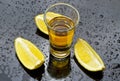 Whiskey with lemon Royalty Free Stock Photo