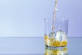 Whiskey is poured into a glass with ice cubes. Isolated with blue background. Royalty Free Stock Photo