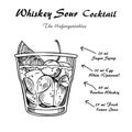 Whiskey sour cocktail recipe vector illustration sketch