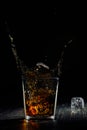 Whiskey Splash Royalty Free Stock Photo