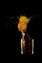 Whiskey splash with two lemons black background Royalty Free Stock Photo