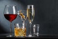 Whiskey, wine, champagne drinks Royalty Free Stock Photo