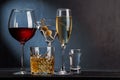 Whiskey, wine, champagne drinks Royalty Free Stock Photo