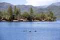 Whiskeytown Lake Beach Royalty Free Stock Photo