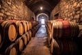 whisky aging in oak barrels with visible labels