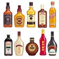 Whisky and liquor bottles icons set.