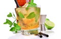 Whisky Mint Cocktail Royalty Free Stock Photo