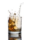 Whisky splash isolated on a white Royalty Free Stock Photo