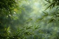 Whispering Bamboo Grove Swaying in a Gentle Wind The green blurs with the air