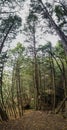 Whispering Cave, Hocking Hills State Park, Ohio Royalty Free Stock Photo