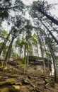 Whispering Cave, Hocking Hills State Park, Ohio Royalty Free Stock Photo