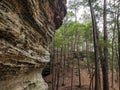Whispering Cave, Hocking Hills State Park, Ohio Royalty Free Stock Photo